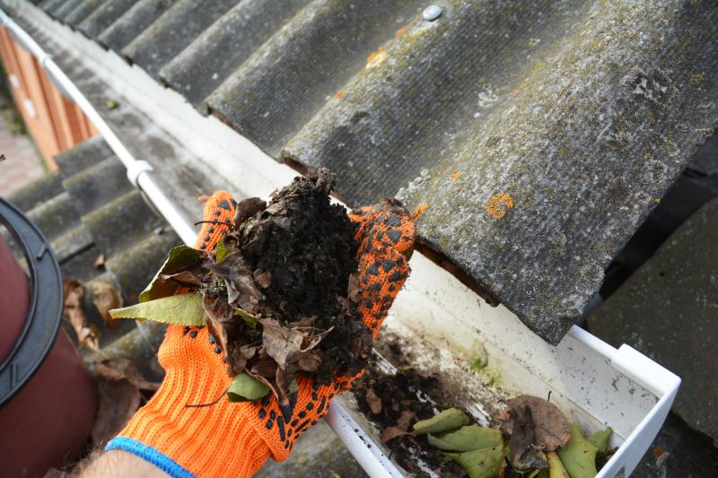 Roof Gutter Cleaning in Longmont, CO